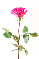 Similar image 7666150