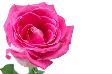 Similar image 7666152