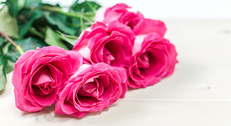 Similar image 7666154