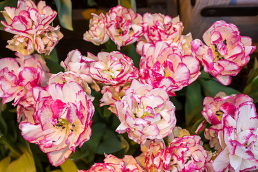 Similar image 7666160