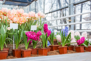 Similar image 7666161