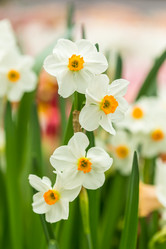 Similar image 7666162