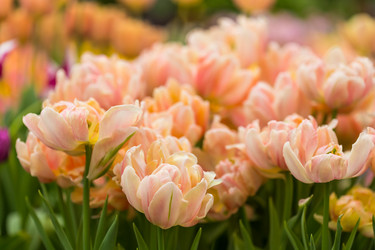 Similar image 7666165