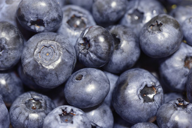 Similar image 7666256