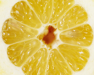 Similar image 7666273