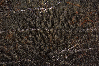 Similar image 7666274