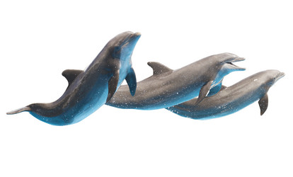 Similar image 7666279