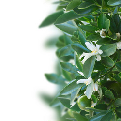 Similar image 7666281