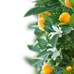 Similar image 7666282