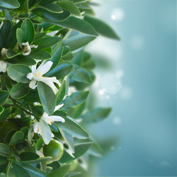 Similar image 7666284