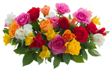 Similar image 7666286