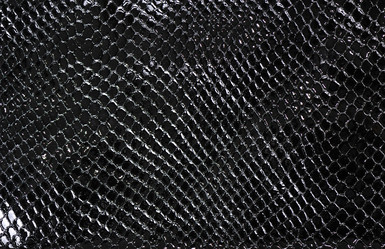 Similar image 7666290