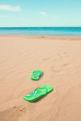 Similar image 7666318