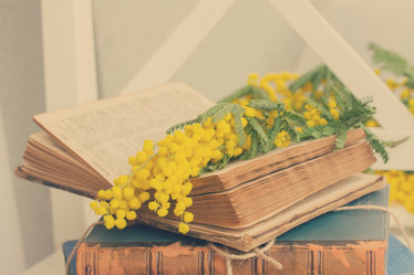 Similar image 7666320