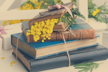 Similar image 7666321