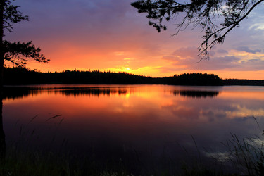 Similar image 7666335