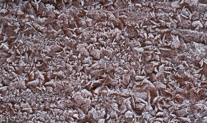 Similar image 7666410