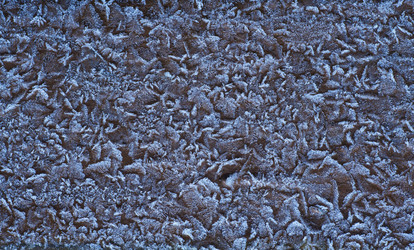 Similar image 7666414