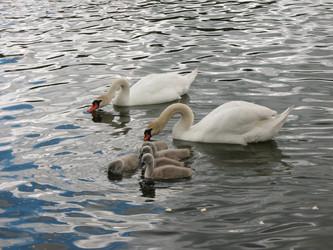 Similar image 7666508