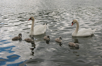 Similar image 7666509