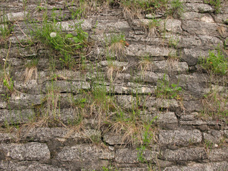 Similar image 7666535