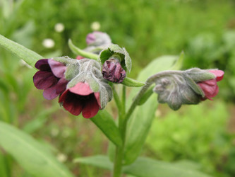 Similar image 7666539