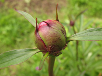 Similar image 7666540