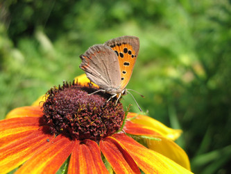 Similar image 7666544