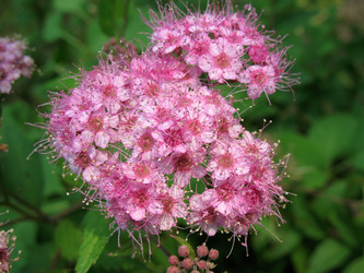 Similar image 7666545