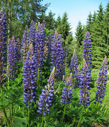 Similar image 7666547