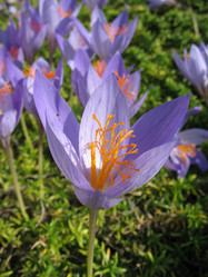 Similar image 7666552