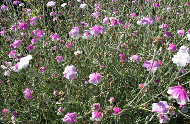 Similar image 7666553