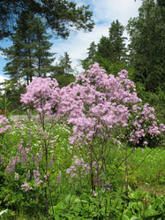 Similar image 7666554