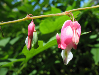 Similar image 7666555