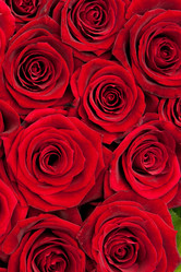 Similar image 7666618