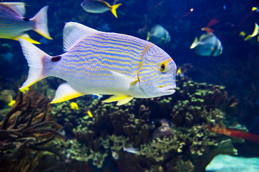 Similar image 7666621