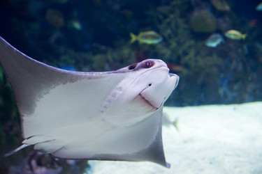 Similar image 7666622