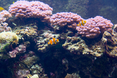 Similar image 7666624