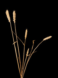 Similar image 7666627