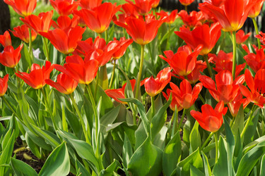 Similar image 7666632