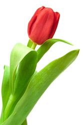 Similar image 7666634