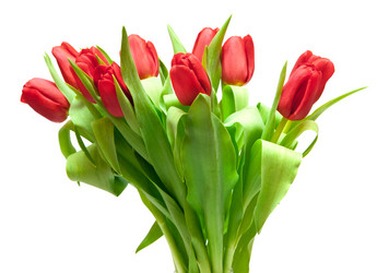 Similar image 7666636