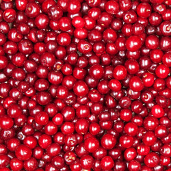 Similar image 7666638