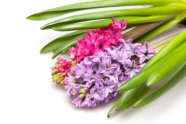 Similar image 7666647