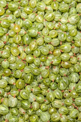 Similar image 7666649