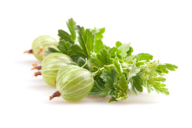 Similar image 7666650