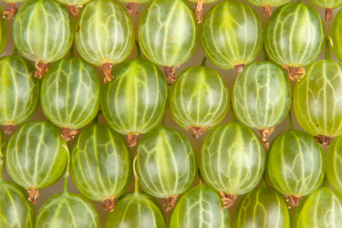 Similar image 7666652