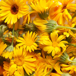 Similar image 7666653