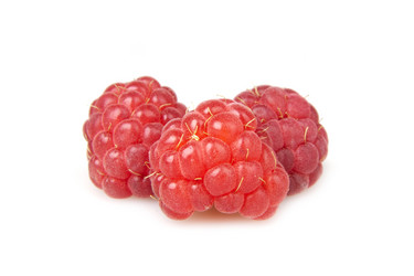 Similar image 7666654