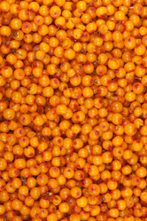 Similar image 7666672